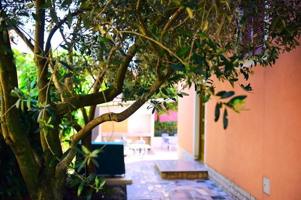 Apartments Zdjelar * Porec