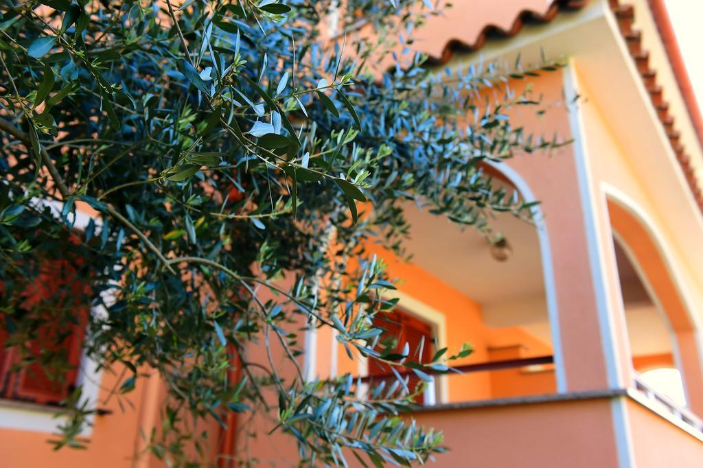 Apartment Zdjelar